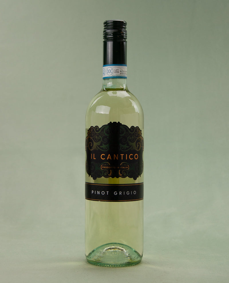 Il Cantico, Pinot Grigio