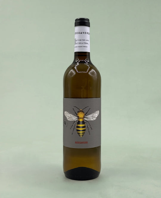 Bodegaverde, Macabeo