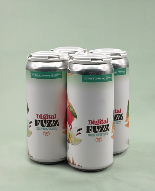 Xul Beer Co., Digital Fuzz Sour