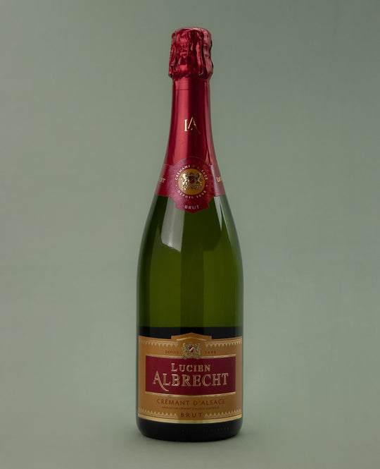 Lucien Albrecht, Brut